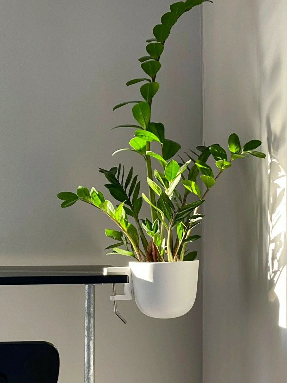NIB Design Within Reach White Story Planter Clamp Bowl Pot